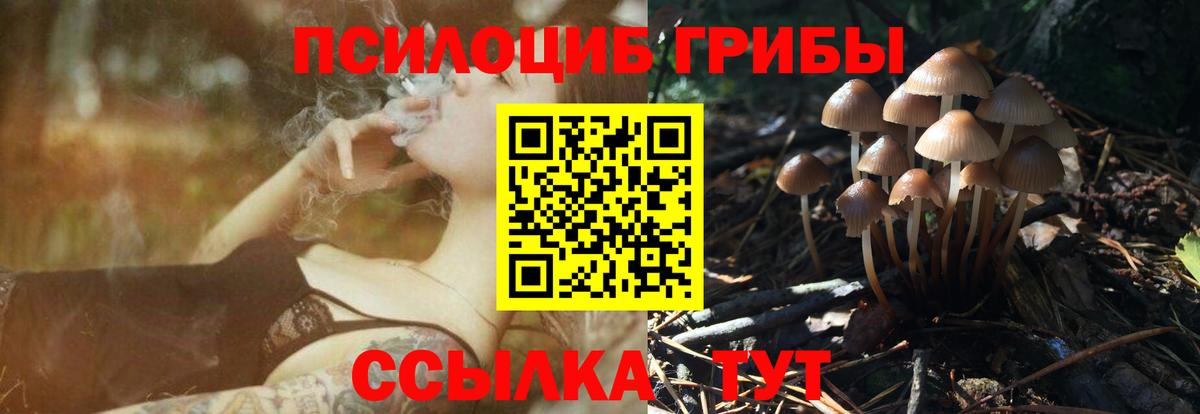Псилоцибиновые грибы прущие грибы  Вход с VPN  Первоуральск 